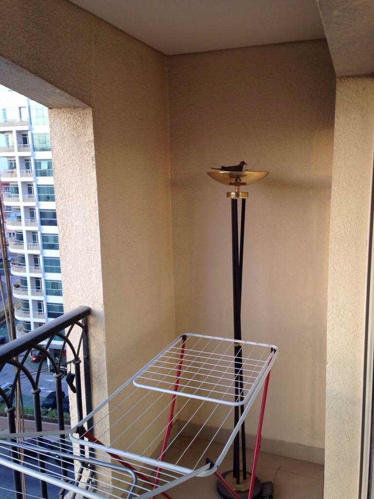 Apartment top