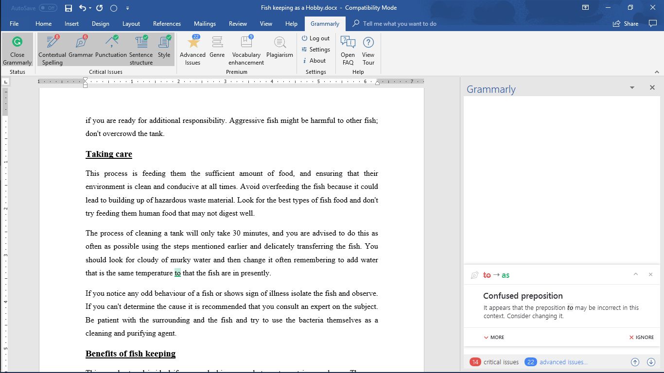 Grammaly with MS Word