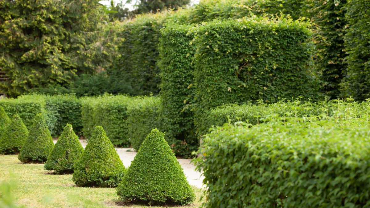 How to Create Spaces With Decorative Grass Wall?